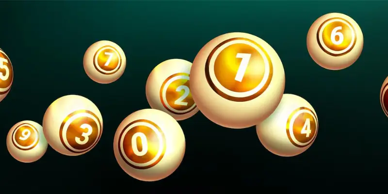 thuật ngữ rồng vàng bạc nhớ hôm nay là gì