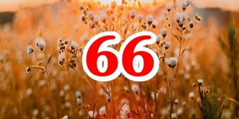 ý nghĩa số 66 là song lộc