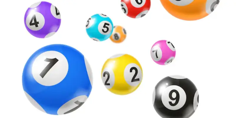 nguyên tắc nuôi lô khung 1 ngày